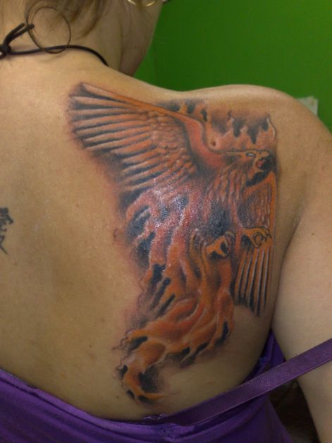 20100825795.jpg